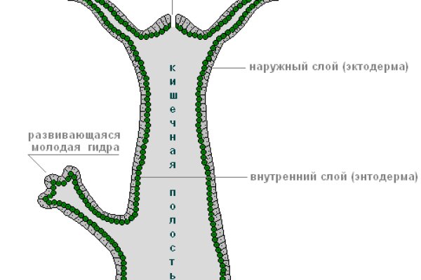 Кракен зеркало впн