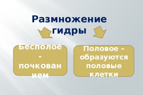 Кракен зеркало на сайт