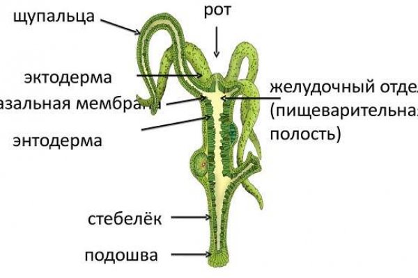 Кракен рабочая ссылка 2024